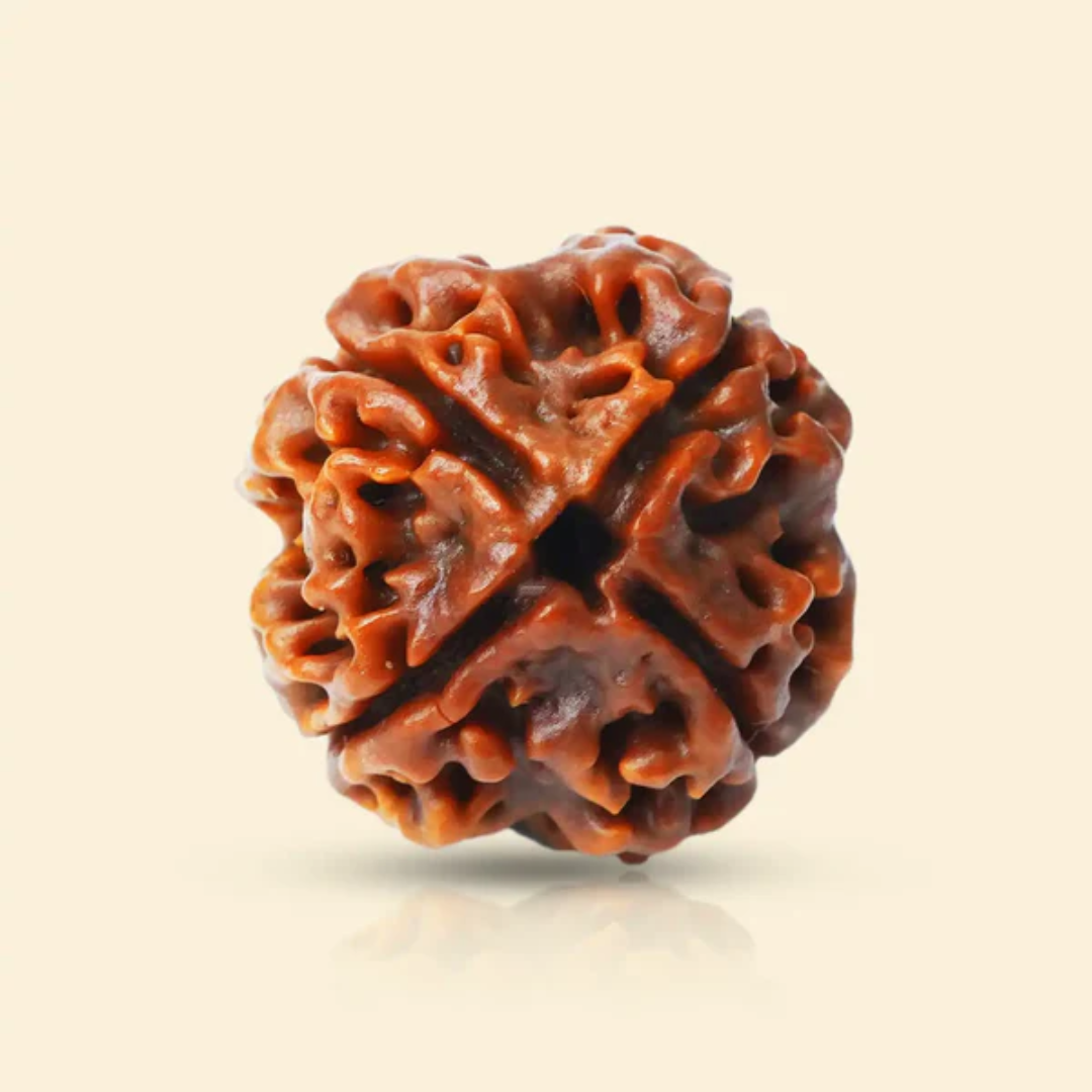 4 MUKHI RUDRAKSHA