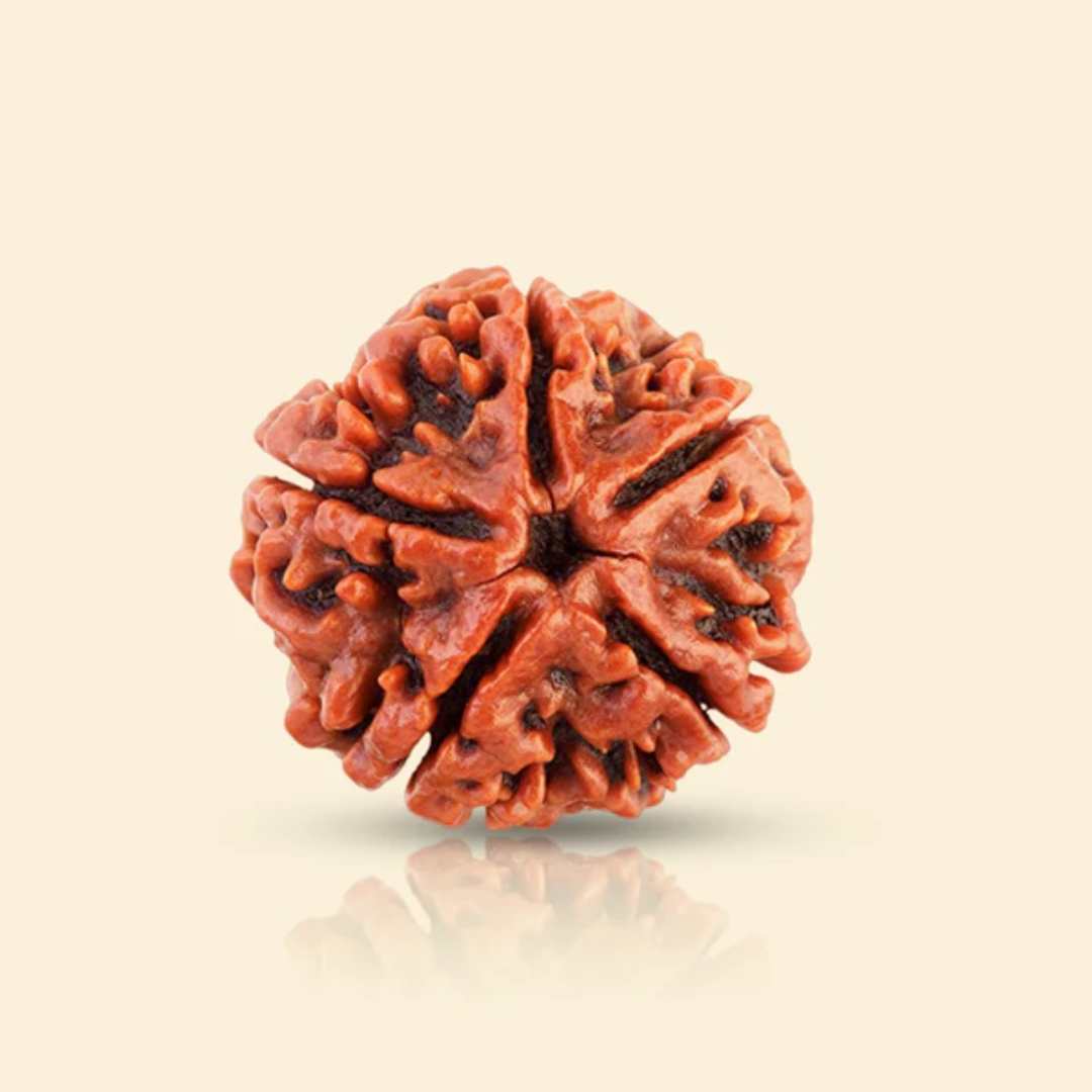 5 MUKHI RUDRAKSHA