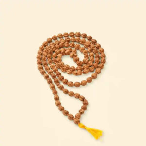 5 MUKHI RUDRAKSHA MALA