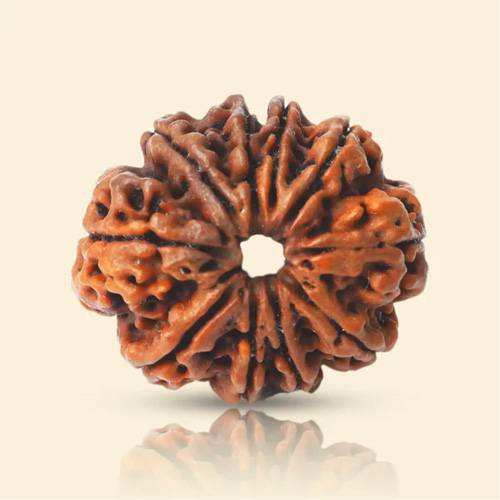 product-18 9 Mukhi Rudraksha - Image 1